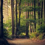 18 Ways to Build Sustainable Living Habits & Consume Less