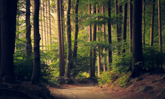 18 Ways to Build Sustainable Living Habits & Consume Less